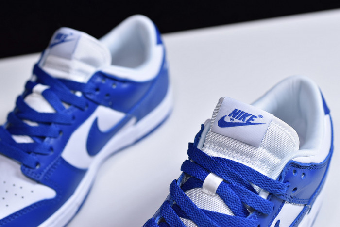 Nike dunk low sb kentucky CU1726-100