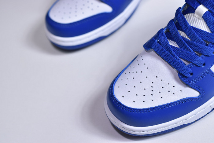 Nike dunk low sb kentucky CU1726-100